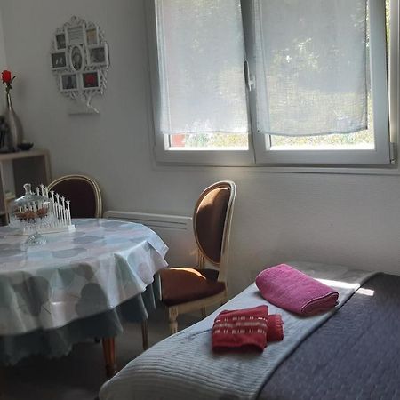 Ravissant Studio Dans Un Cadre Agreable Soultz-Haut-Rhin Eksteriør bilde