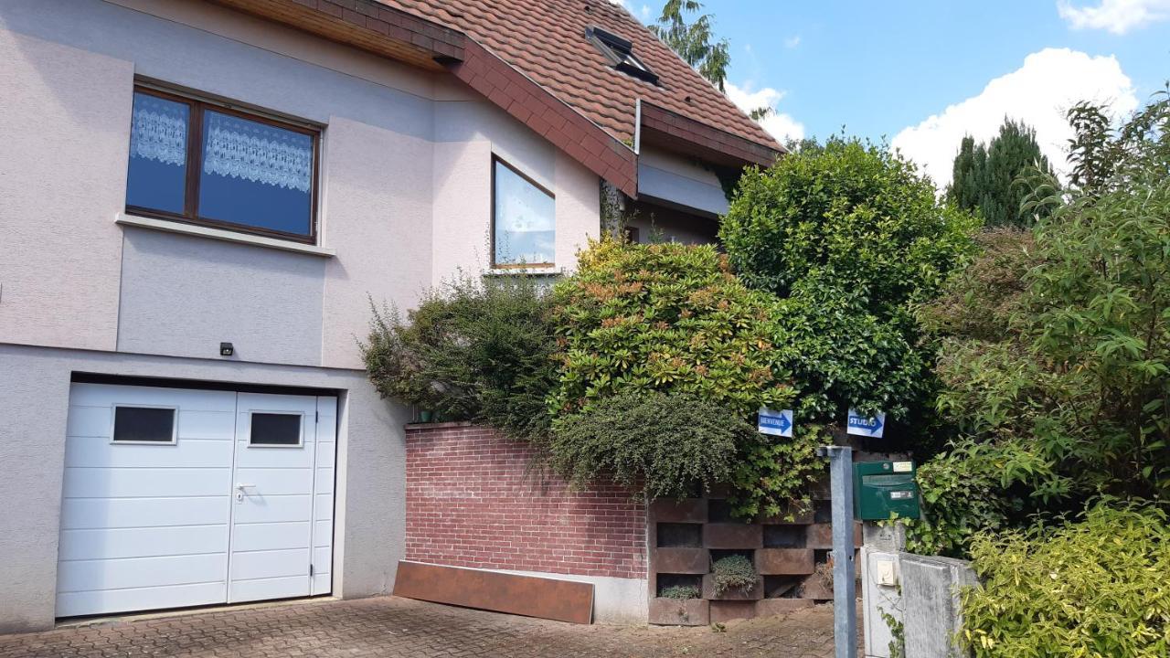 Ravissant Studio Dans Un Cadre Agreable Soultz-Haut-Rhin Eksteriør bilde