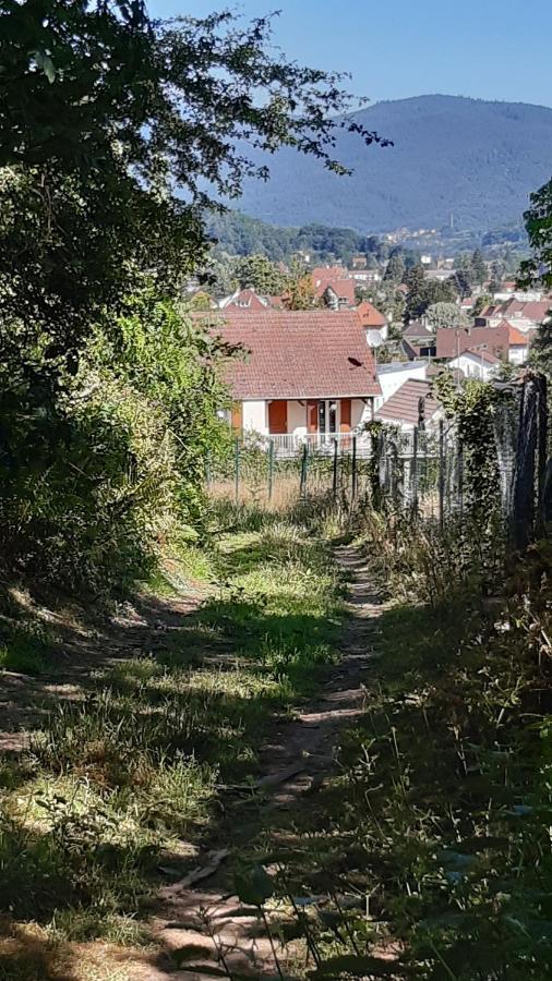 Ravissant Studio Dans Un Cadre Agreable Soultz-Haut-Rhin Eksteriør bilde