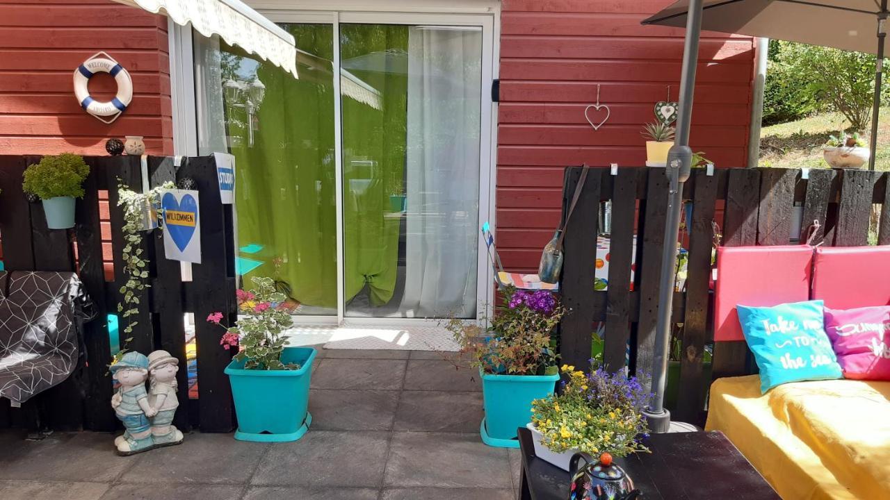 Ravissant Studio Dans Un Cadre Agreable Soultz-Haut-Rhin Eksteriør bilde